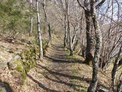 ruta circular